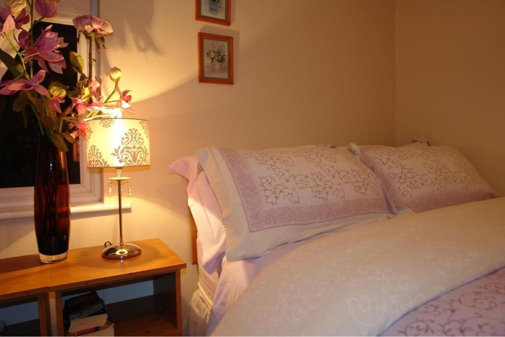 Annandale House Bed & Breakfast Dublin Bagian luar foto