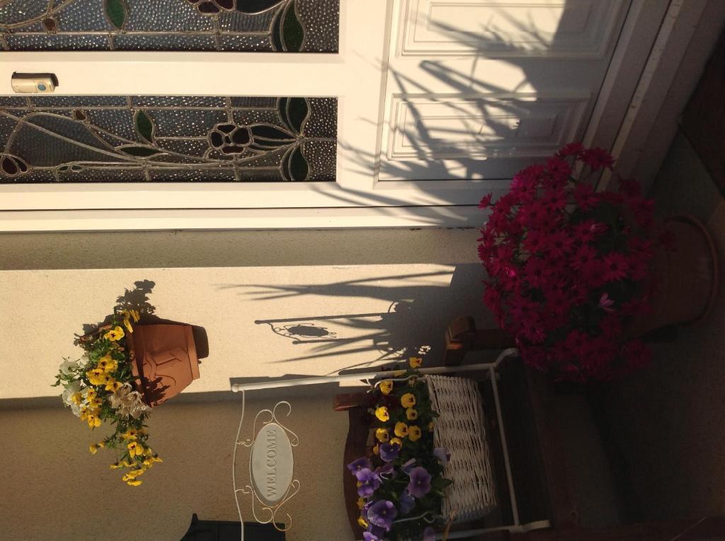 Annandale House Bed & Breakfast Dublin Bagian luar foto